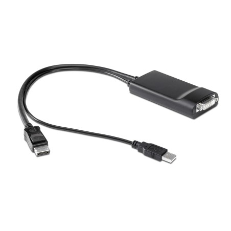 HP DisplayPort to Dual Link DVI Adaptor